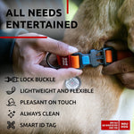 Waterproof Dog Collar Adjustable Dog Collar for Large Dogs Small and Medium Dogs Breakaway Dog Collar Waterproof with Plastic Buckle and QR Dog Tag Boy & Girl Dog Collars (Orange)