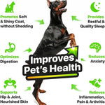 Hеmp and Salmon Oil for Dogs Skin Coat Hеalth 3 6 9 Omega Calming Treat 1 Fl Oz