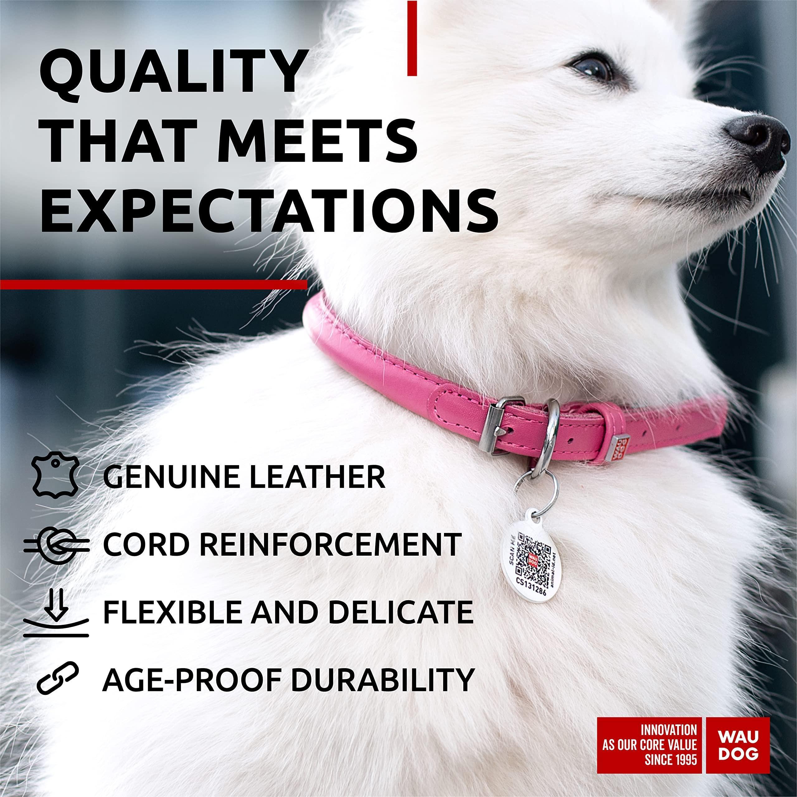 Ultra Soft Rolled Leather Dog Collar for Small Dogs 8 10 Inch Neck Padded Dog