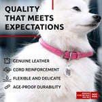 Ultra Soft Rolled Leather Dog Collar for Small Dogs 8 10 Inch Neck Padded Dog